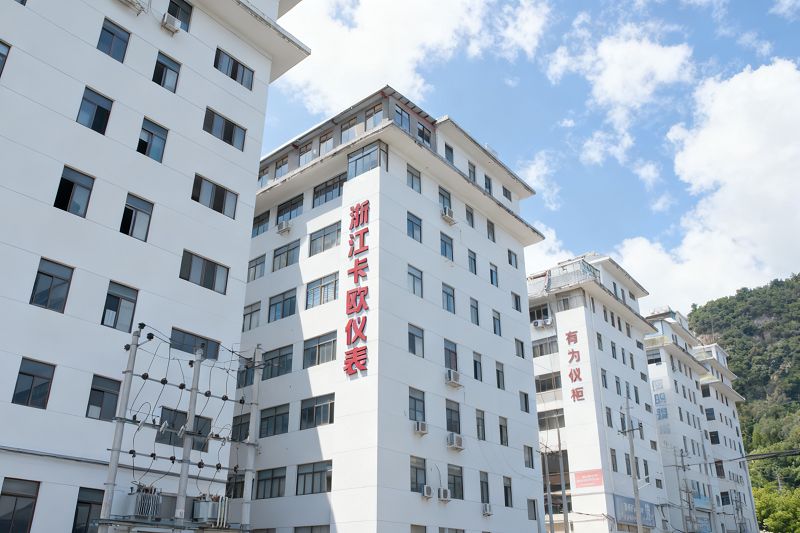 Zhejiang  Καού  Όργανο  Co.,  Ε.Π.Ε.